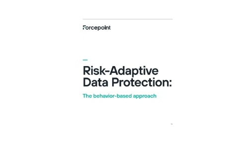 Risk-Adaptive Data Security: The Behavior-Based Approach